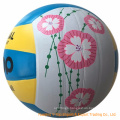 Colorful Complex Logo Sporting Volleyball